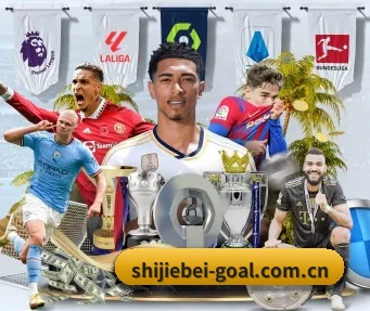 世界杯 APP - FIFA World Cup